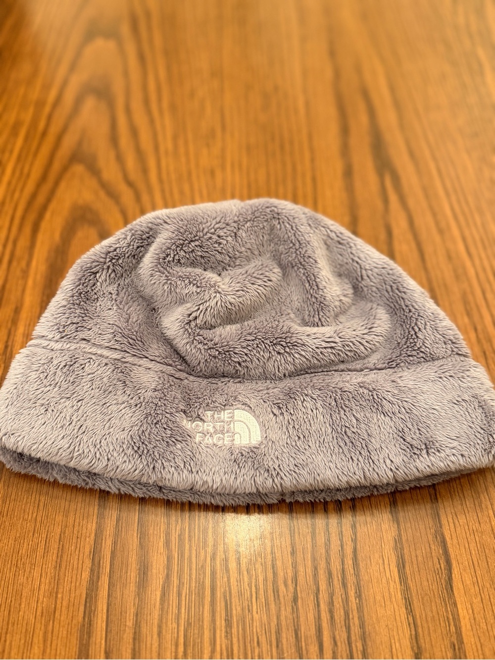 The North Face Plush Fleece Beanie in Gray